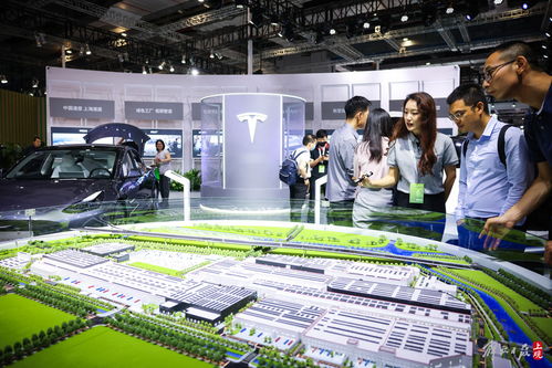 首届上海碳博会展示碳中和科技风向，软件技术开发成重要推动力